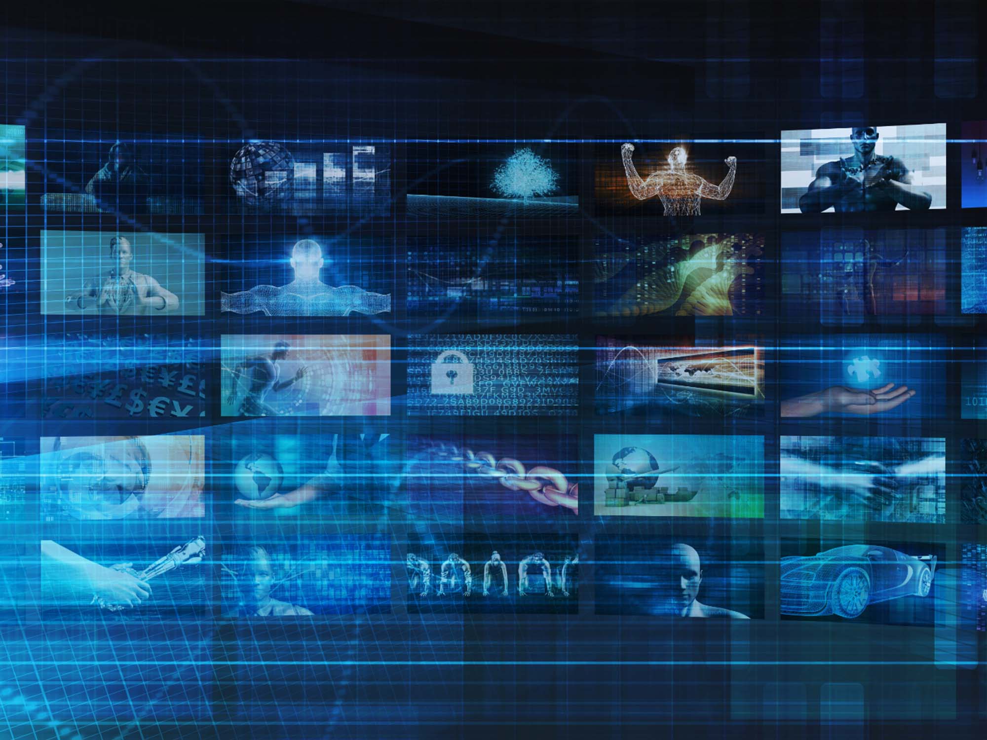 Sport and Entertainment Expertise